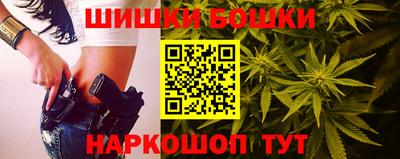 сатива Гатчина