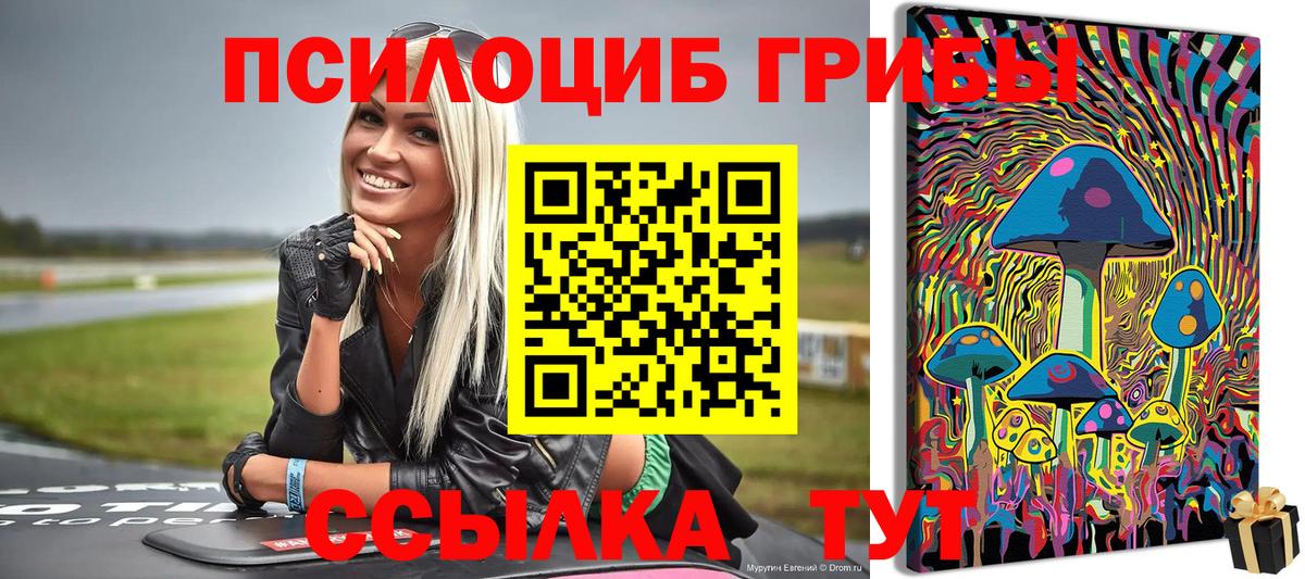 Можайск  Галлюциногенные грибы MAGIC MUSHROOMS  Вход с VPN  цены наркотик  Галлюциногенные грибы прущие грибы 