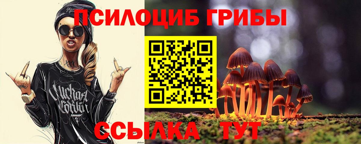 Галлюциногенные грибы мицелий Можайск